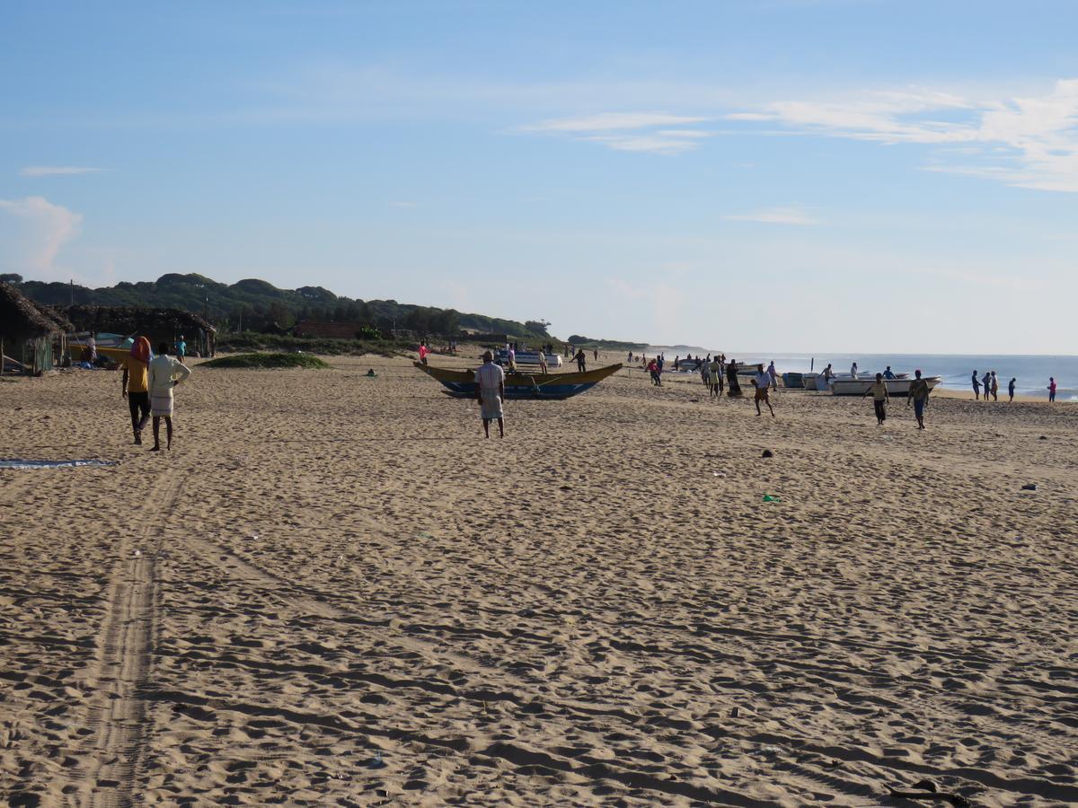 The Long Hostel Arugam Bay Zewnętrze zdjęcie